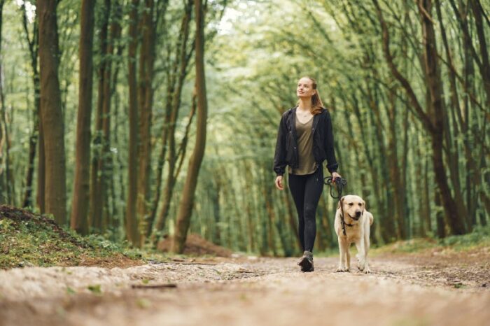 Vitamine D Vrouw loopt met haar hond in het bos en krijgt vitamine D terwijl ze aan een psychosomatische fysiotherapie oefening werkt