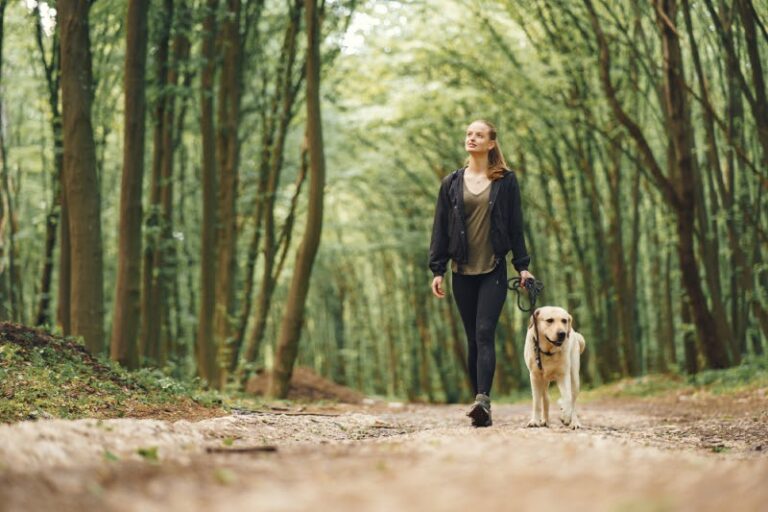 Vrouw loopt met haar hond in het bos en krijgt vitamine D terwijl ze aan een psychosomatische fysiotherapie oefening werkt