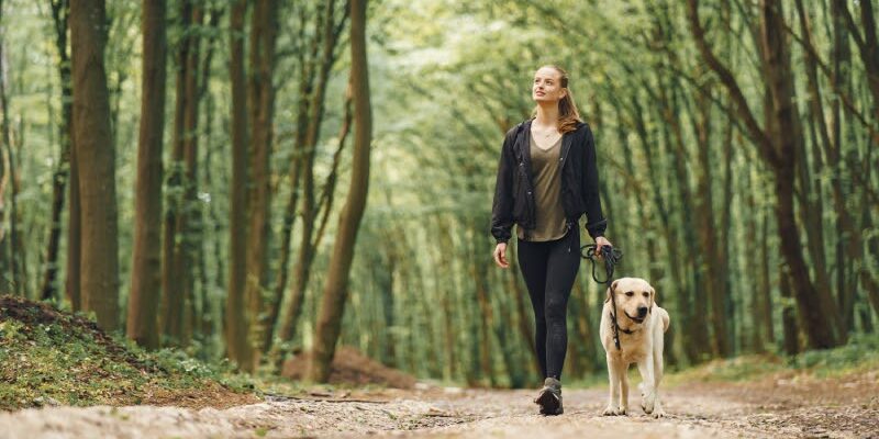 Vrouw loopt met haar hond in het bos en krijgt vitamine D terwijl ze aan een psychosomatische fysiotherapie oefening werkt